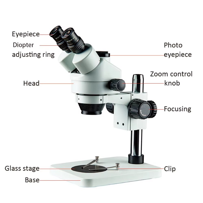 Microscopio Binocular Trinocul - Trinocular Stereo Microscope 7X-45X reseña y precio