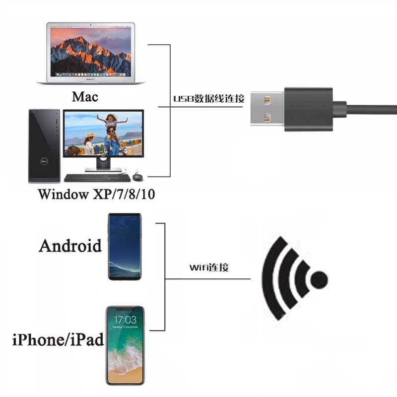 Microscopio Digital WiFi 2 en  - Usb Microscope 1000X Digital reseña y precio